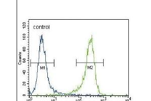 UCHL1 Antibody (N-term) (ABIN388868 and ABIN2839164) flow cytometric analysis of NCI- cells (right histogram) compared to a negative control cell (left histogram).