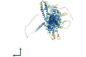 AlphaFold protein structure predicition of Mouse Recombinant Trpm5 Protein, UniprotID Q9JJH7