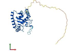 AlphaFold protein structure predicition of Human Recombinant UBE2R2 Protein, UniprotID Q712K3