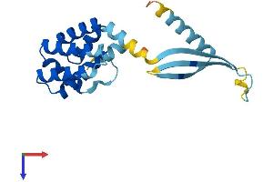 AlphaFold protein structure predicition of Human Recombinant COMMD7 Protein, UniprotID Q86VX2