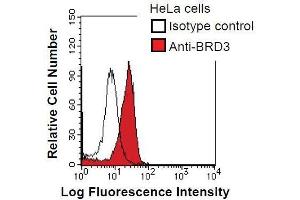 HeLa cells were fixed in 2% paraformaldehyde/PBS and then permeabilized in 90% methanol.