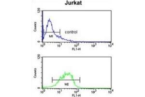 Flow Cytometry (FACS) image for anti-Insulin-Like Growth Factor Binding Protein, Acid Labile Subunit (IGFALS) antibody (ABIN3003239)