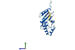 AlphaFold protein structure predicition of Human Recombinant UBE2H Protein, UniprotID P62256