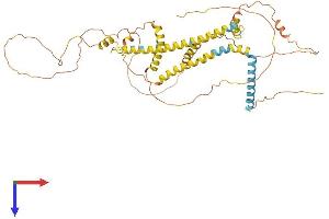 AlphaFold protein structure predicition of Mouse Recombinant Rtn2 Protein, UniprotID O70622