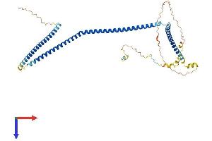 AlphaFold protein structure predicition of Human Recombinant CCDC83 Protein, UniprotID Q8IWF9