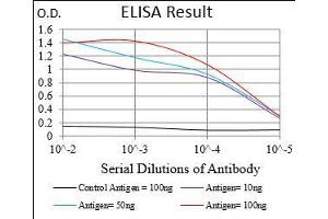 Black line: Control Antigen (100 ng), Purple line: Antigen(10 ng), Blue line: Antigen (50 ng), Red line: Antigen (100 ng),