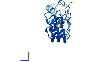 AlphaFold protein structure predicition of Human Recombinant PPP1R27 Protein, UniprotID Q86WC6