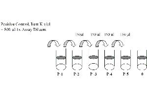 Epidermal Growth Factor Receptor (EGFR) ELISA Kit