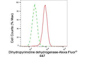 Flow cytometric analysis of dihydropyrimidine dehydrogenase expression in H9c2 cells using dihydropyrimidine dehydrogenase antibody (ABIN7798341), 1:2,000). (Recombinant DPYD anticorps)