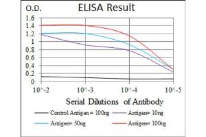 Red: Control Antigen (100ng) ; Purple: Antigen (10ng) ; Green: Antigen (50ng) ; Blue: Antigen (100ng). (PAX5 anticorps  (AA 235-382))