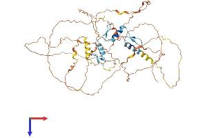AlphaFold protein structure predicition of Mouse Recombinant Egr1 Protein, UniprotID P08046