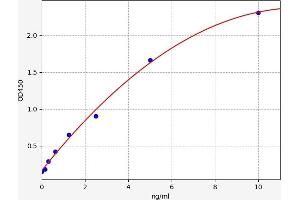 Typical standard curve (Lamin B1 Kit ELISA)