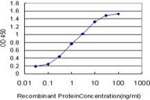 Detection limit for recombinant GST tagged TXN is approximately 0.