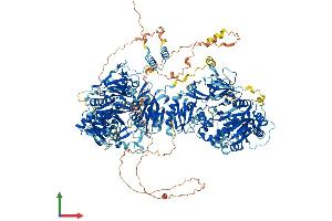 AlphaFold protein structure predicition of Human Recombinant DIP2A Protein, UniprotID Q14689