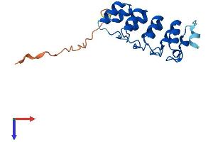 AlphaFold protein structure predicition of Human Recombinant ANKRD39 Protein, UniprotID Q53RE8