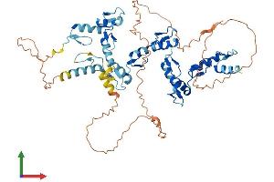 AlphaFold protein structure predicition of Human Recombinant ZNF697 Protein, UniprotID Q5TEC3