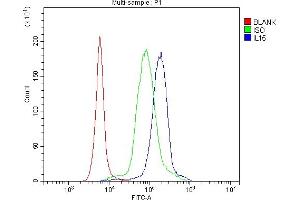 Flow Cytometry analysis of human PBMC cells using anti-IL15 antibody (ABIN7602347). (IL-15 anticorps  (AA 70-162))