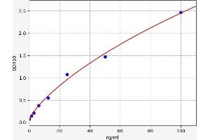 gamma Glutamyltransferase 1 (GGT1) ELISA Kit