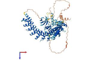 AlphaFold protein structure predicition of Mouse Recombinant Ripk4 Protein, UniprotID Q9ERK0