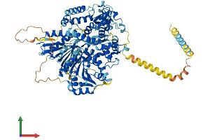 AlphaFold protein structure predicition of Mouse Recombinant Dhx40 Protein, UniprotID Q6PE54