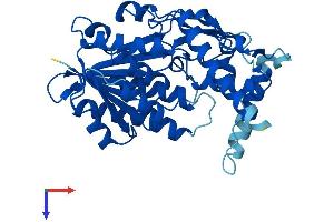 AlphaFold protein structure predicition of Human Recombinant HSD3B2 Protein, UniprotID P26439