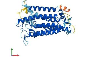 AlphaFold protein structure predicition of Human Recombinant SRD5A3 Protein, UniprotID Q9H8P0