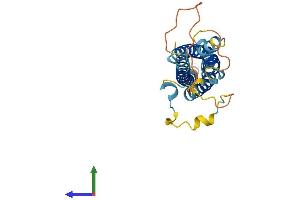 AlphaFold protein structure predicition of Human Recombinant TM4SF20 Protein, UniprotID Q53R12