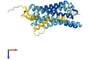 AlphaFold protein structure predicition of Human Recombinant OR2A4 Protein, UniprotID O95047