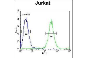 Flow cytometric analysis of Jurkat cells (right histogram) compared to a negative control cell (left histogram).