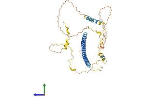 AlphaFold protein structure predicition of Mouse Recombinant Jun Protein, UniprotID P05627