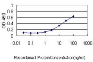 Detection limit for recombinant GST tagged CRYAB is approximately 1ng/ml as a capture antibody. (CRYAB anticorps  (AA 1-175))