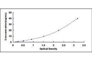 Secreted Protein, Acidic, Cysteine-Rich (Osteonectin) (SPARC) ELISA Kit