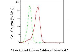 Flow cytometric analysis of Checkpoint kinase 1 expression in HepG2 cells using Checkpoint kinase 1 antibody (ABIN7798035), 1:2,000).