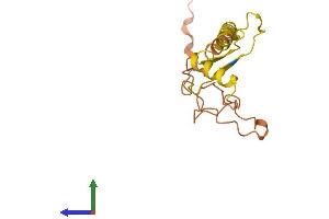 AlphaFold protein structure predicition of Human Recombinant C20orf173 Protein, UniprotID Q96LM9