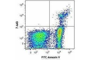 Flow Cytometry (FACS) image for FITC Annexin V Apoptosis Detection Kit with 7-AAD (ABIN2669212) (FITC Annexin V Apoptosis Detection Kit with 7-AAD)