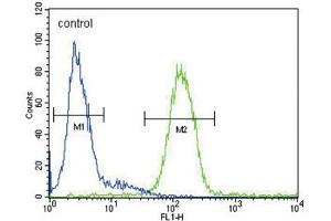 Flow Cytometry (FACS) image for anti-Ceruloplasmin (Ferroxidase) (CP) antibody (ABIN3003153) (Ceruloplasmin anticorps)