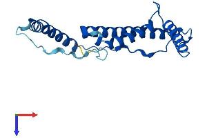 AlphaFold protein structure predicition of Mouse Recombinant Ndufb10 Protein, UniprotID Q9DCS9