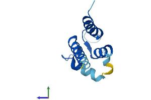 AlphaFold protein structure predicition of Mouse Recombinant S100a5 Protein, UniprotID P63084