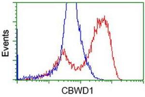HEK293T cells transfected with either RC222790 overexpress plasmid (Red) or empty vector control plasmid (Blue) were immunostained by anti-CBWD1 antibody (ABIN2452883), and then analyzed by flow cytometry. (CBWD1 anticorps)