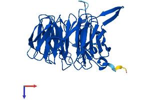 AlphaFold protein structure predicition of Human Recombinant BUB3 Protein, UniprotID O43684