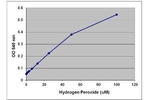 H2O2 Standard Curve. (OxiSelect™ Hydrogen Peroxide/Peroxidase Assay Kit (Colorimetric))