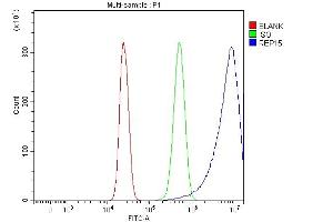 Flow Cytometry analysis of HepG2 cells using anti-REP15 antibody (ABIN7601178). (REP15 anticorps  (AA 3-236))