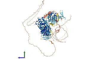 AlphaFold protein structure predicition of Mouse Recombinant Nedd4l Protein, UniprotID Q8CFI0