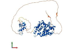 AlphaFold protein structure predicition of Human Recombinant ESRRG Protein, UniprotID P62508
