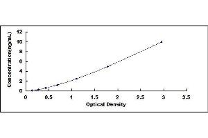 Osteoglycin (OGN) ELISA Kit