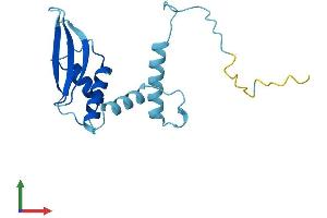 AlphaFold protein structure predicition of Human Recombinant CEP19 Protein, UniprotID Q96LK0
