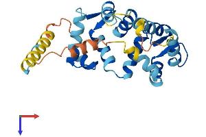 AlphaFold protein structure predicition of Mouse Recombinant Kcnip1 Protein, UniprotID Q9JJ57