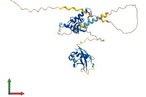 AlphaFold protein structure predicition of Mouse Recombinant Pcgf6 Protein, UniprotID Q99NA9