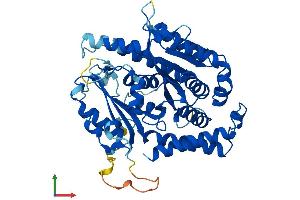 AlphaFold protein structure predicition of Human Recombinant TUBD1 Protein, UniprotID Q9UJT1