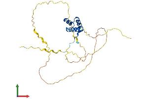 AlphaFold protein structure predicition of Mouse Recombinant Meox1 Protein, UniprotID P32442